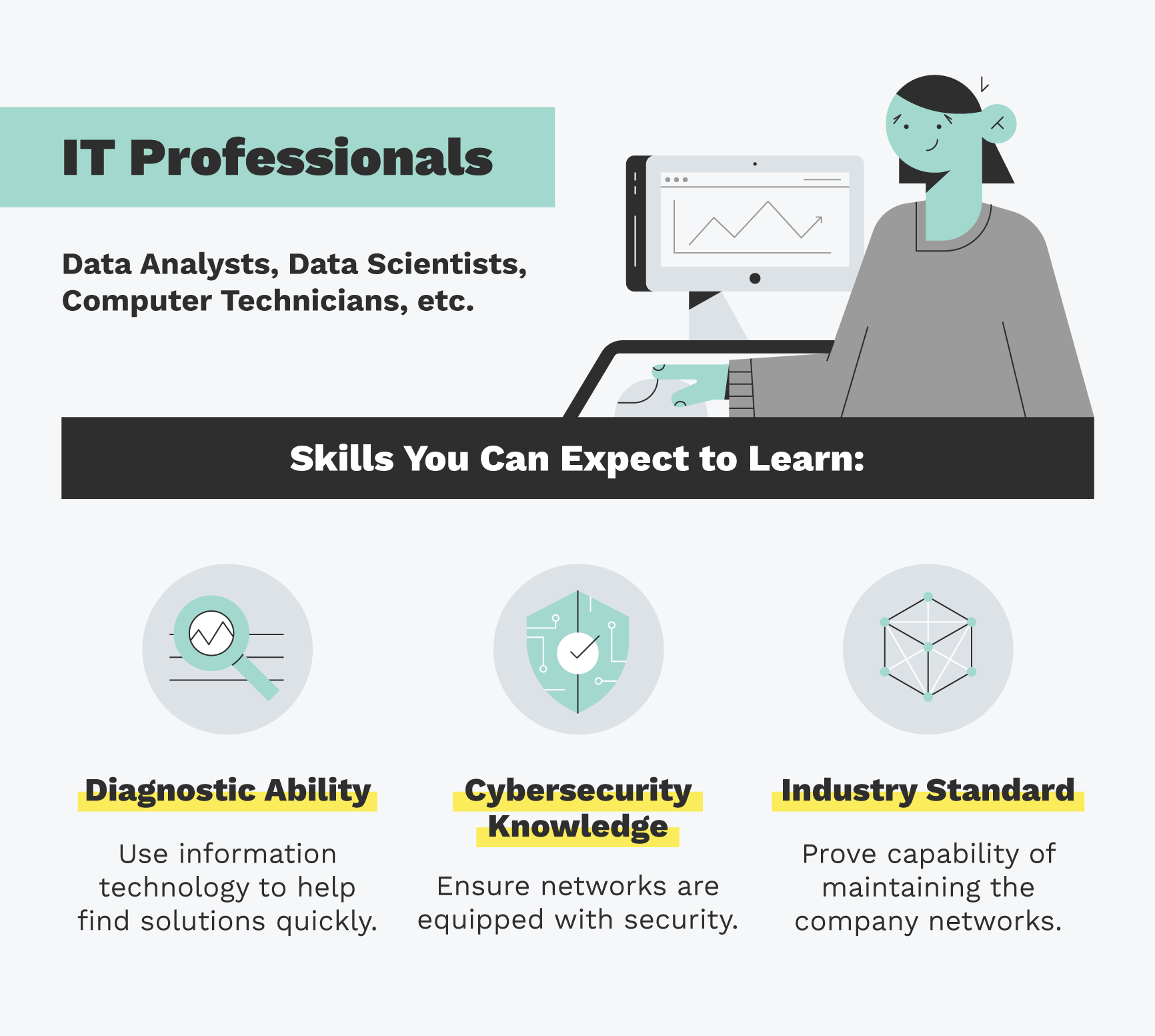  IT professionals