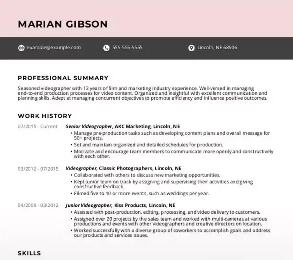 best summary in resume