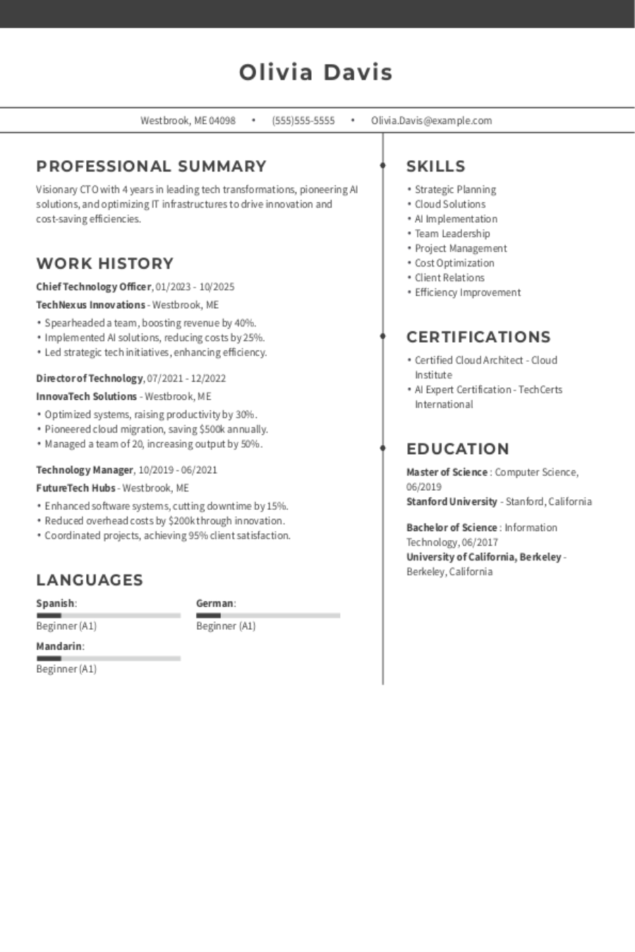 Chief Technology Officer Resume: Examples, Templates & Tips