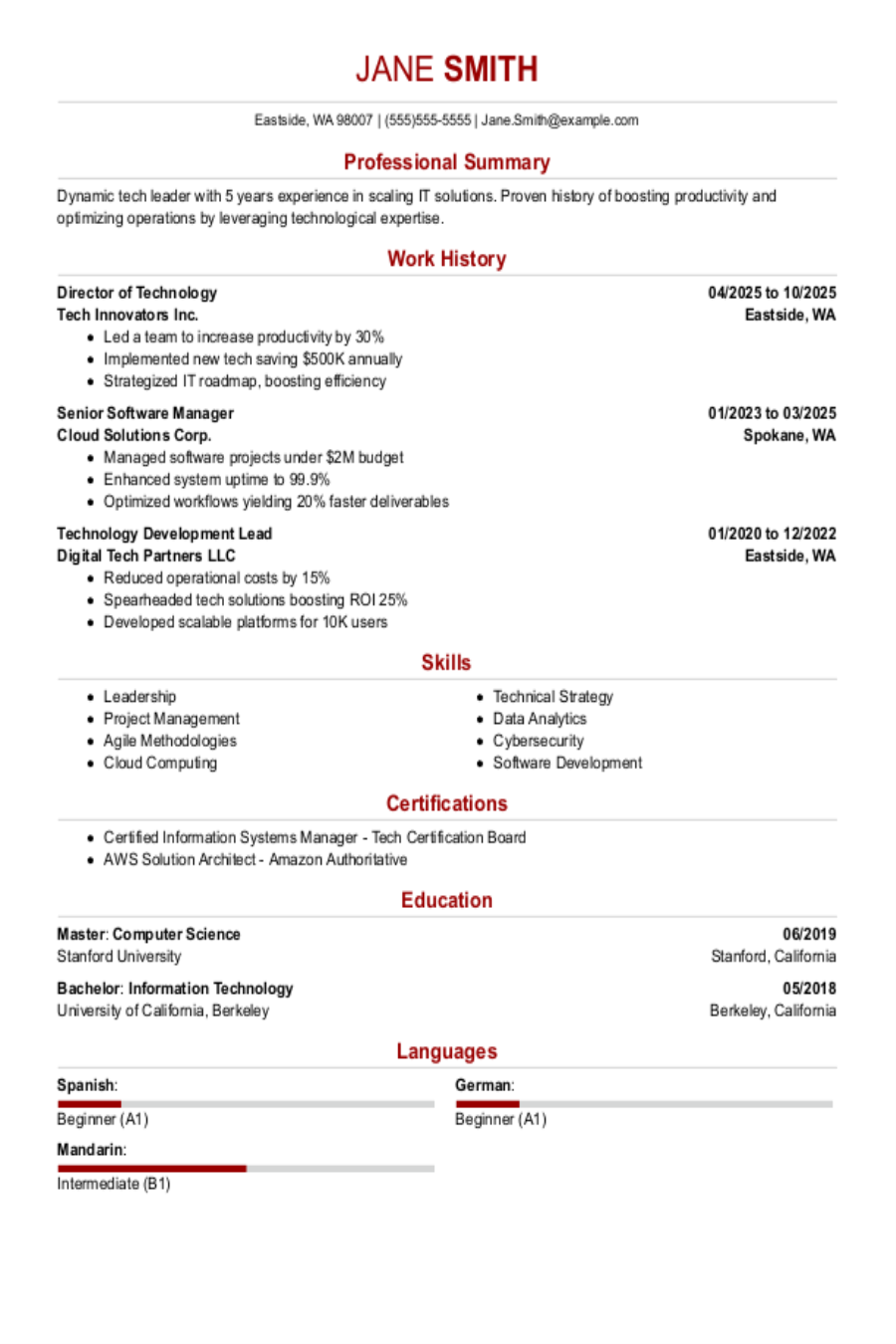 Director Of Technology Resume Example