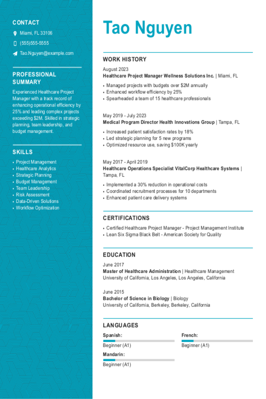 Healthcare Project Manager Resume Example