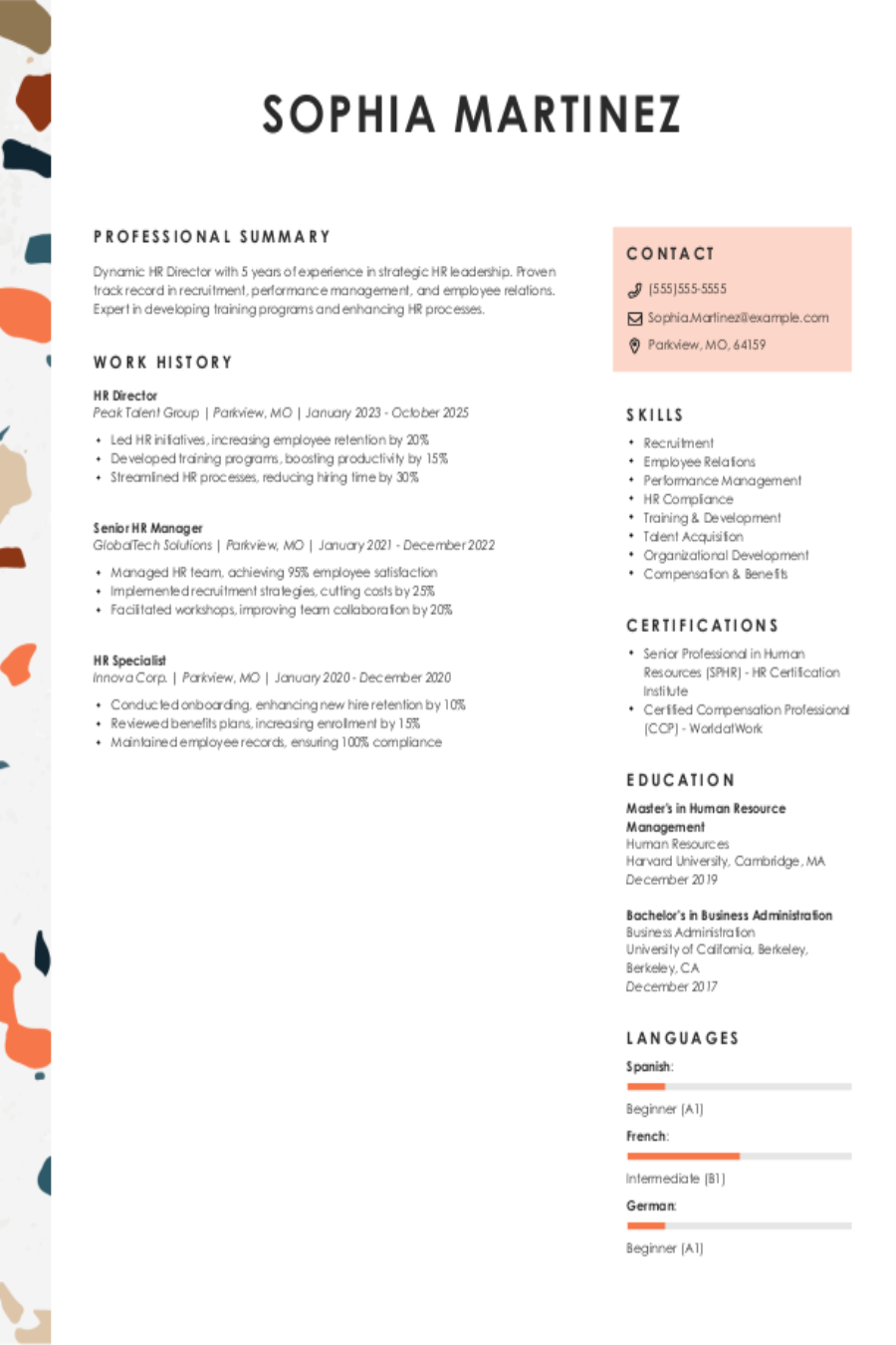 HR Director Resume Sample