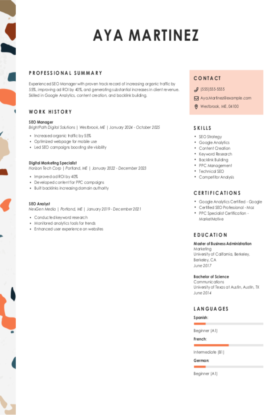 SEO Manager Resume Example