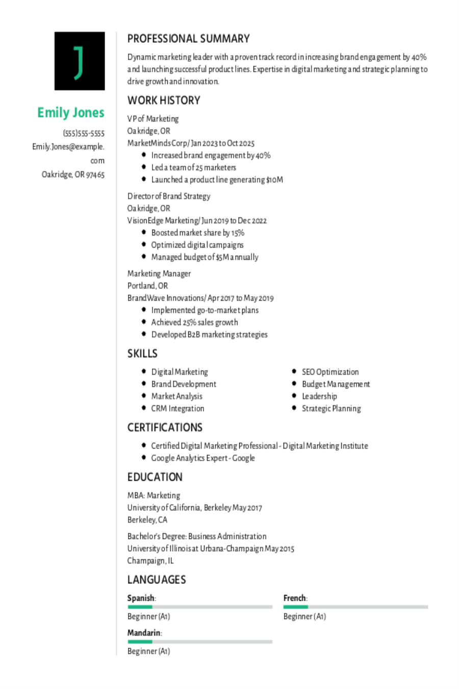 Vice President Resume Example Vice President Resume Example