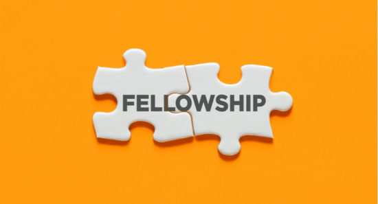 Government Fellowships