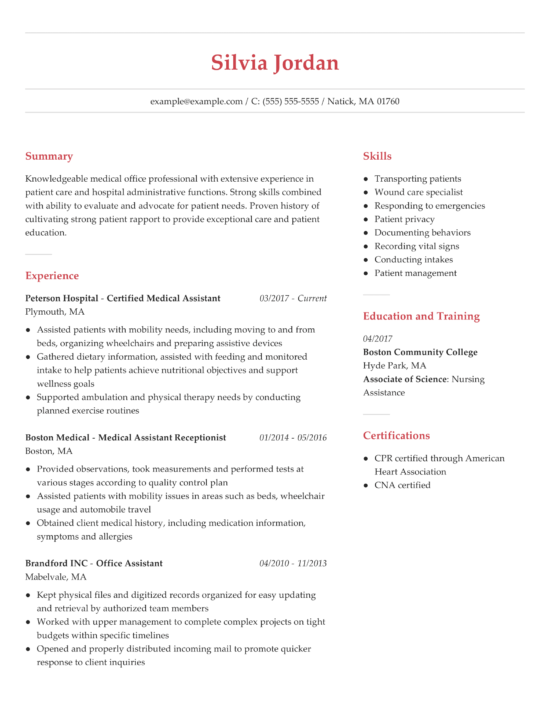 Professional Resume Formats To Get Hired In 2021 Resume Now