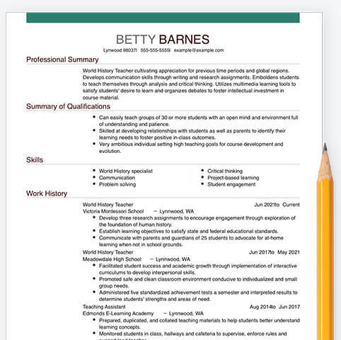 Professional Resume Examples To Get You Hired In 22 Resume Now