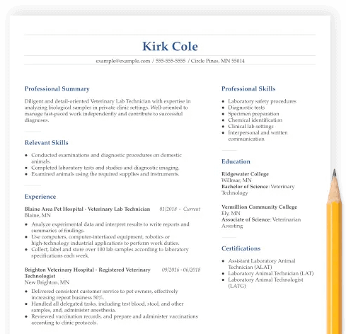 Professional Resume Formats to Get Hired in 2022 | Resume-Now